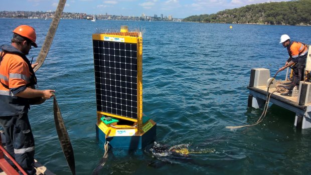 The  new Clever Buoy shark system issued two warnings on Satuday.