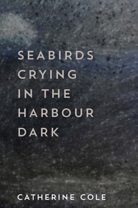 <i>Seabirds Crying in the Harbour Dark</i>, by Catherine Cole.