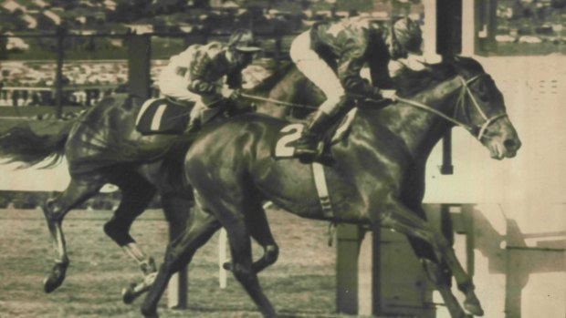 New Zealander Daryl's Joy upsets Vain in the 1969 Moonee Valley Stakes.