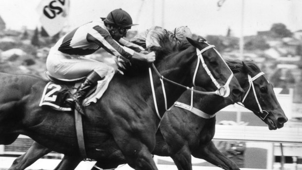 Great of the track: Bonecrusher and Our Waverley Star in the 1986 Cox Plate.