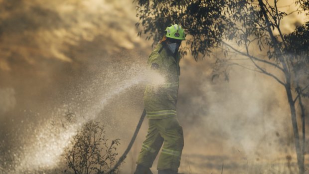 Fire fighting is one of Canberra's most coveted jobs.