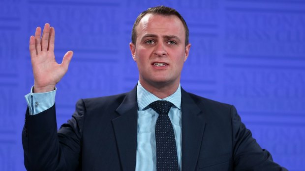 Human Rights Commissioner Tim Wilson: ''This decision is a reminder that our commitment to free speech needs to be consistent, reflected in law and not just rhetoric.''