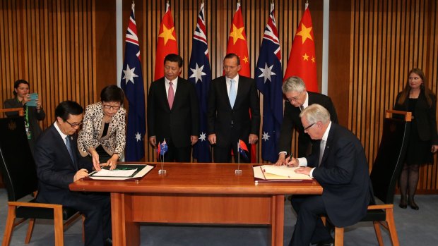 Chinese President Xi Jinping (rear) and then-prime minister Tony Abbott witness the signing of the declaration of intent on the free trade agreement late last year.