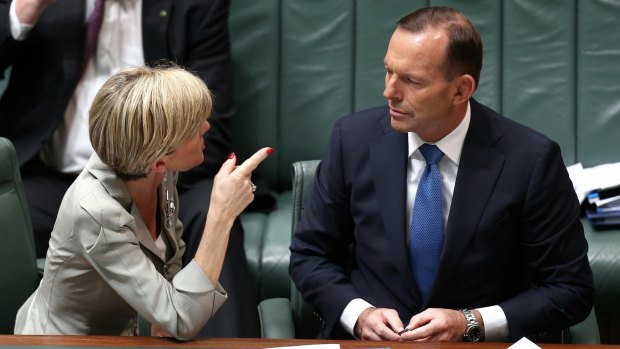 Foreign Minister Julie Bishop has assured Prime Minister Tony Abbott that she has not been campaigning for his job.