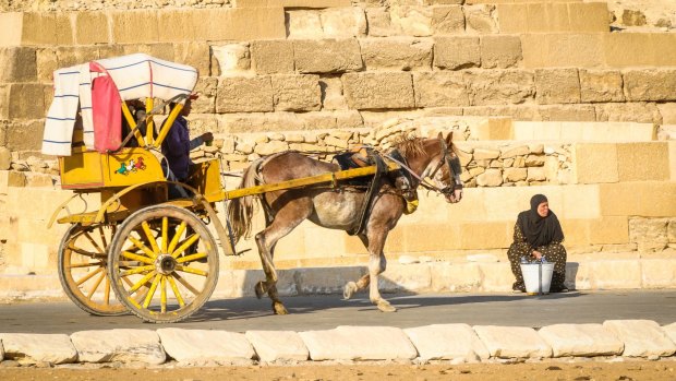 A horse cart ride at Giza, Egypt.