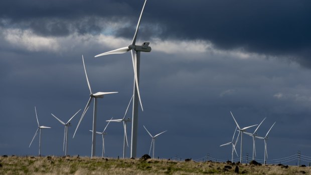 AGL's Macarthur wind farm in western Victoria.