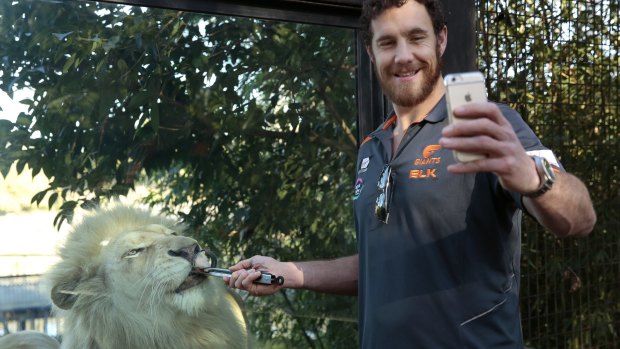 Greater Western Sydney player Shane Mumford takes a selfie while feeding White Lion Jake at the National Zoo and Aquarium.