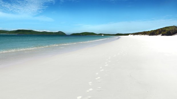 The man was stung while walking in shallow waters at Whitehaven Beach.