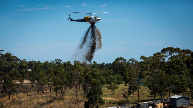 A firebomber tackles the Diggers Rest grassfire on Saturday.