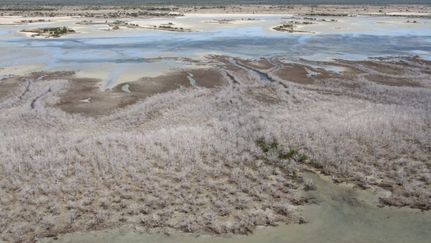 A heavily affected section of the southern Gulf.