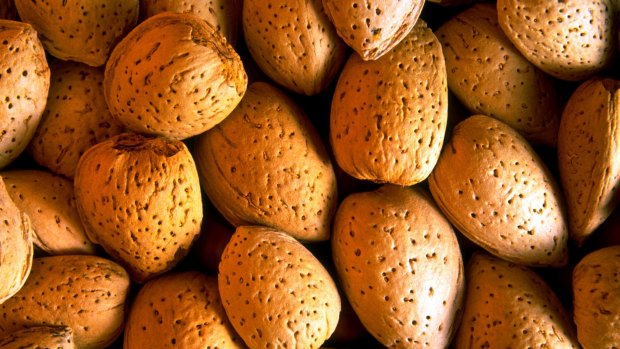 What is an almond called if it contains two kernels?
