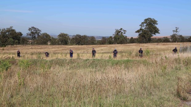 Police perform a search in the fields of Muswellbrook.