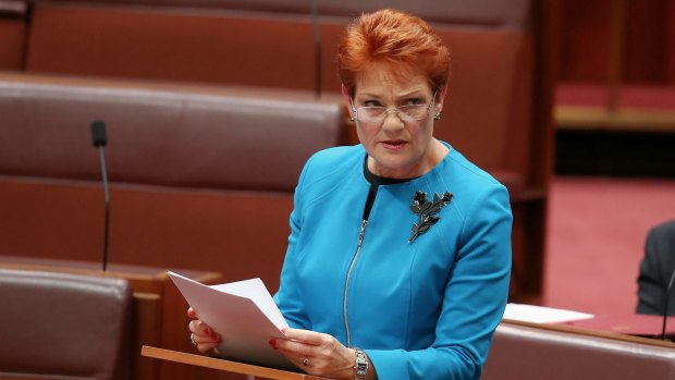In her first speech in the Senate last week, Pauline Hanson said Australia was in danger of being "swamped" by Muslims.