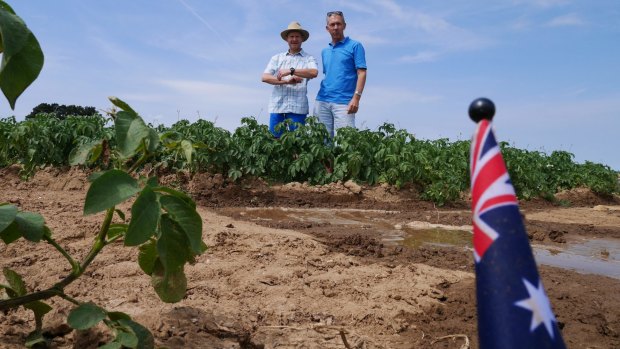 Scott Saunders (right) and Gueudecourt mayor Damien Guise in the potato field marked with an Australian flag.