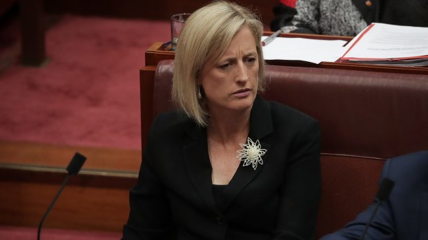 Katy Gallagher's dual citizenship case is currently before the High Court.