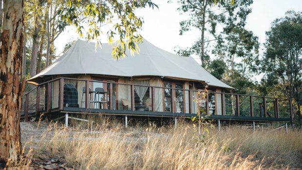 Boydell's Safari Tent in Hunter Vally Morpeth.