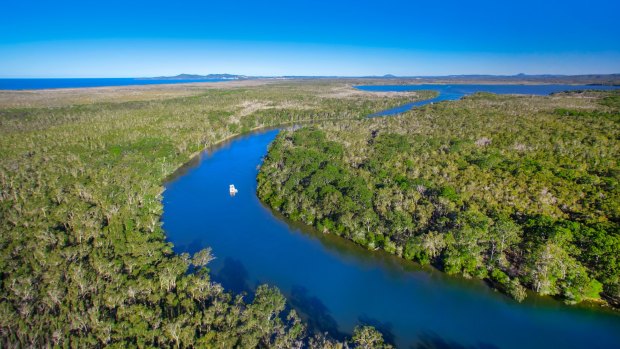 Aerial view of Noosa Everglades.
