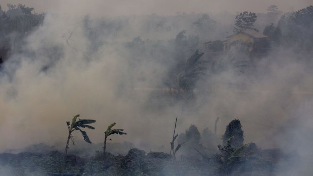Thick smoke from a peatland fire in the Ogan Ilir district in Palembang, South Sumatra, earlier this month.