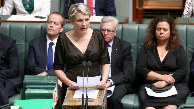 Deputy Opposition Leader Tanya Plibersek speaks during a motion for a stay of executions of Andrew Chan and Myuran Sukumaran.