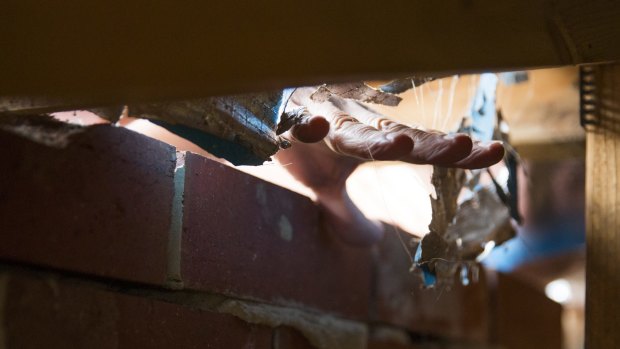 David Merz puts his hand through the gap in his roof where possums have entered after unrepaired damage by Actew AGL.
