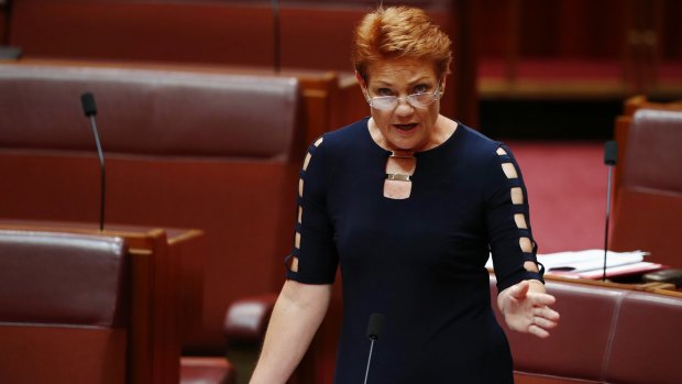 Senator Pauline Hanson in the Senate on Wednesday.