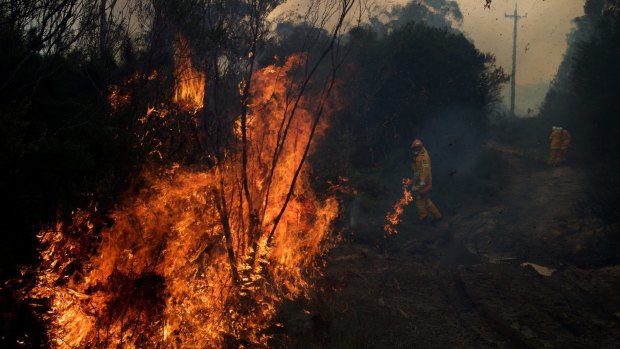 The Canberra suburbs at risk of bushfire. 
