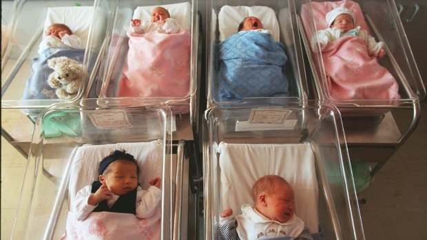 Birth rates in Queensland were responsible for most of the state's population growth last year.
