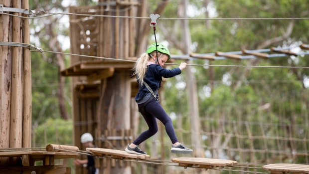 Children can challenge themselves at Live Wire Park, Lorne.
