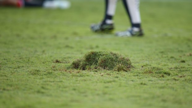 A mound of turf kicked up during the round six Super Rugby match between NSW Waratahs and the Melbourne Rebels.