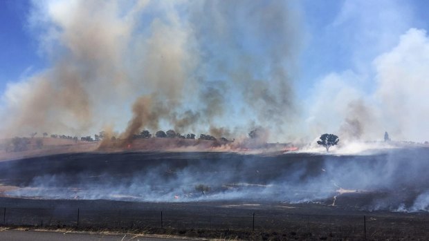 Fires burn in Orange on Saturday. 