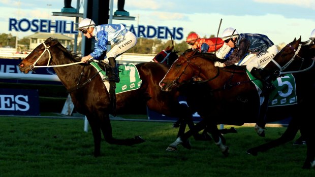 Sixteenth time lucky: Jay Ford and Wine 'N' Dine win the TAB More Than Just Winning Handicap at Rosehill last start.