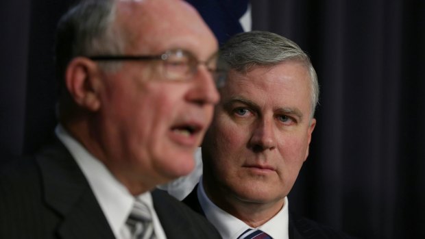 Some see Michael McCormack as the rightful successor to Warren Truss, after all, he's not Barnaby.