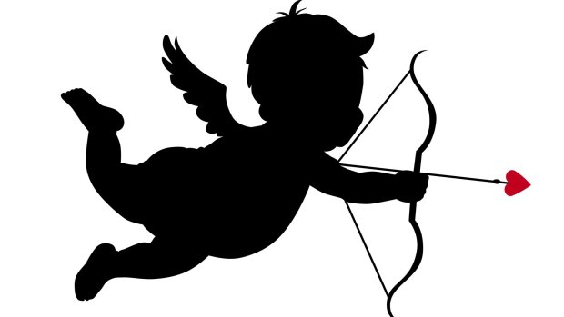 Unfortunately, Cupid has nothing to do with who we fall in love with, but rather it is largely determined by evolutionary traits.