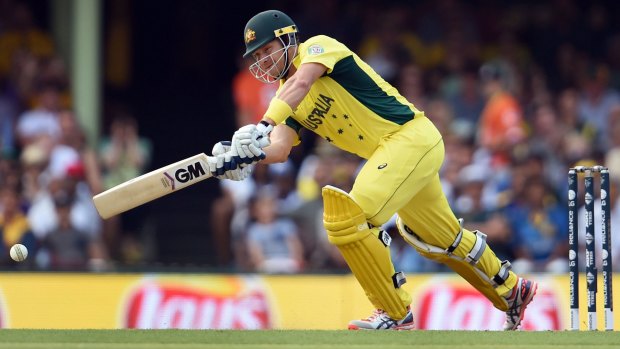 Back for good: Shane Watson impressed with the bat on his return to the side.