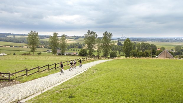 Bicycle riders take on a climb near Oudenaarde.