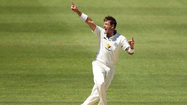 James Pattinson of the Bushrangers appeals during the Sheffield Shield final between Victoria and South Australia.