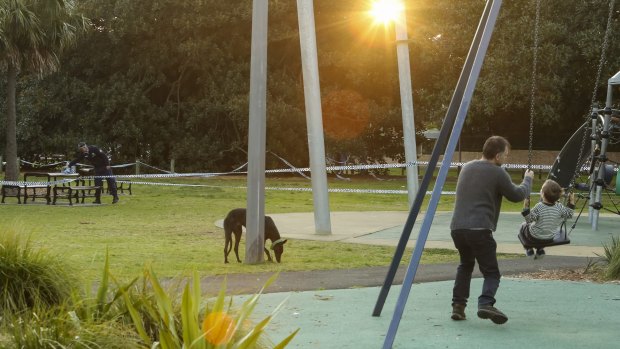 Families at a nearby park. 