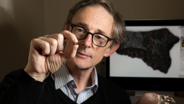 Peter Hiscock with the axe fragment, the oldest in the world.
