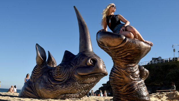 Should it stay or should it go? Creators of Buried Rhino at Tamarama Beach want to offer their work to Waverley Council.
