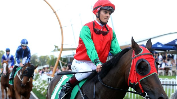Masterful apprentice: Jockey Taylor Marshall after booting home Richard The First. 