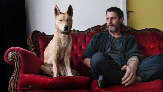 Hayden Fowler will lock himself in a cage with the dingo Juno for an art installation as part of Sydney Contemporary.