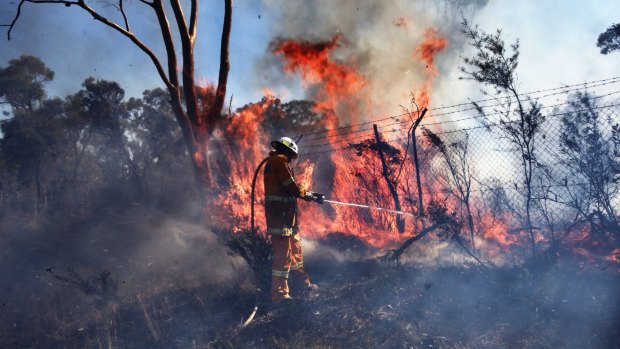 Three teenagers have been charged over a scrub fire in Rockingham.