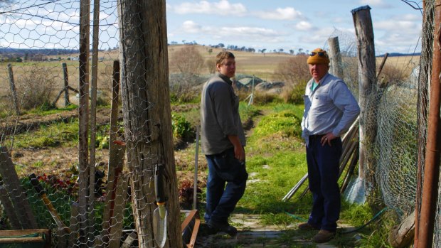 The vegie patch which yielded up to 4.5 tonnes of produce to take to Sydney.