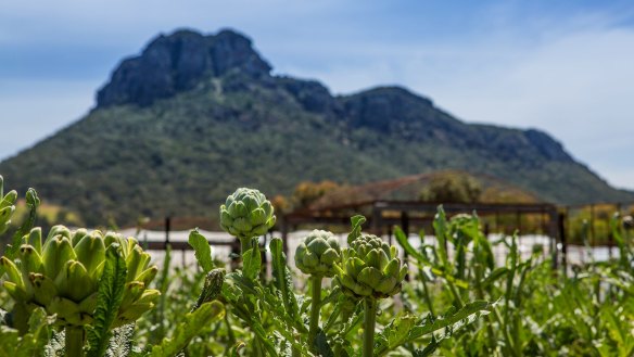 Mount Sturgeon from the Royal Mail's kitchen garden.