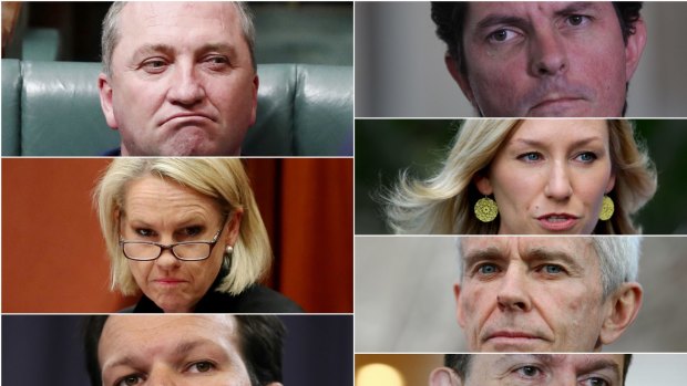 The High Court will consider the eligilbility under Section 44 of the Constition for politicians (anti-clockwise from top left) Barnaby Joyce, Fiona Nash, Matt Canavan, Nick Xenophon, Malcolm Roberts, Larissa Waters and Scott Ludlam. Montage created 9 October 2017.