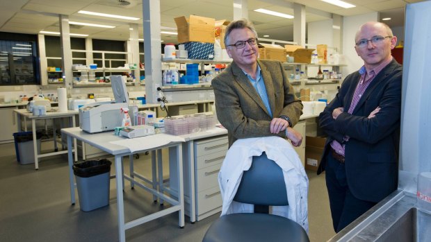 Researchers Andrew Biankin and Sean Grimmond have pioneered gene sequencing for cancer treatment.