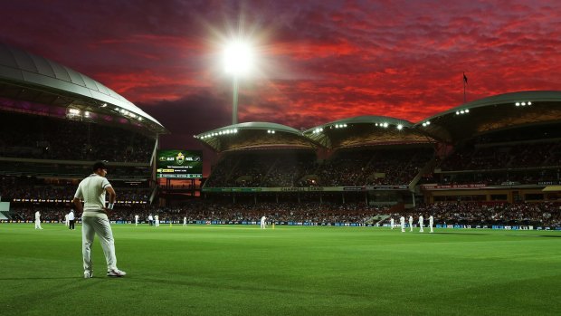 Play under lights during day one of the Third Test match between Australia and New Zealand at Adelaide Oval. 
