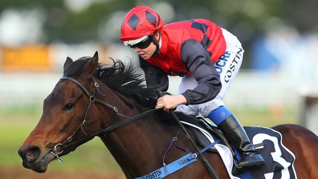 Three in a row: Winona Costin wins on Berry Delicious at Rosehill. 