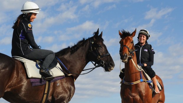 Contenders: Grand Marshal and Who Shot Thebarman after a trackwork session at Altona Beach on Sunday.