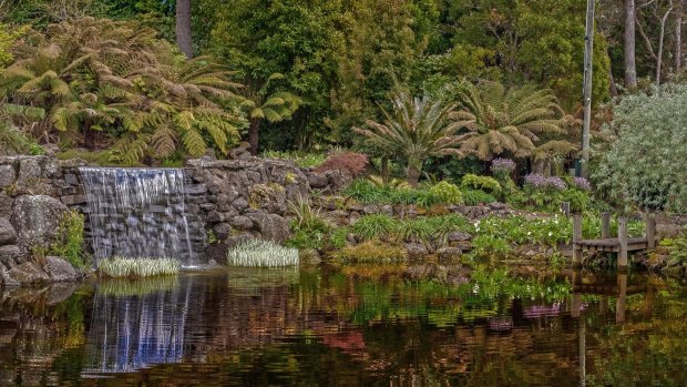 The lake at Windyridge Garden in Mt Wilson, 